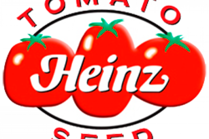 tomato heinz seed valdesemillas